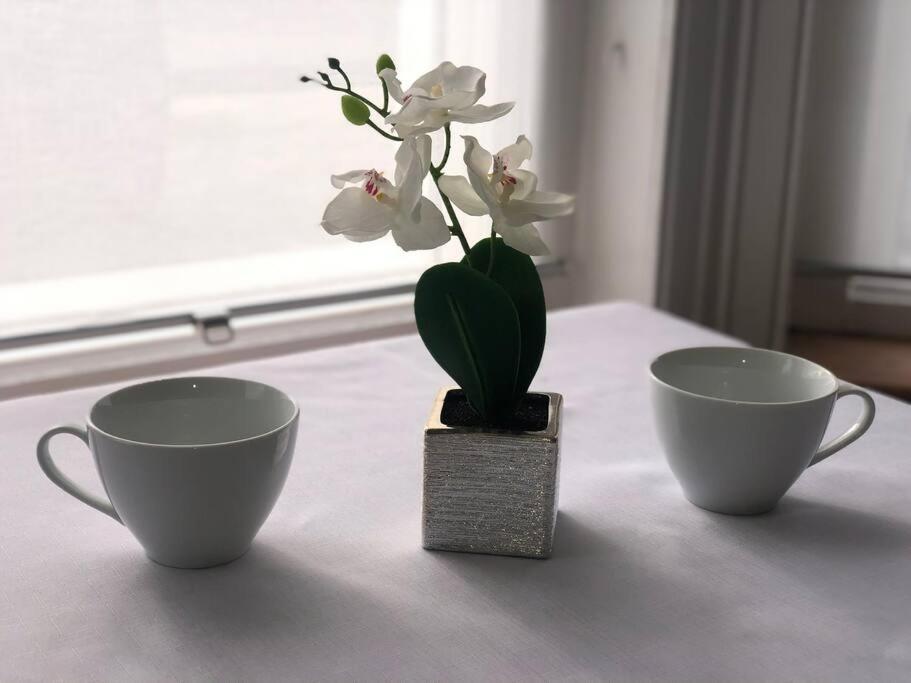 Marcela'S Place - Private Studio Near Heathrow 西德雷顿 外观 照片